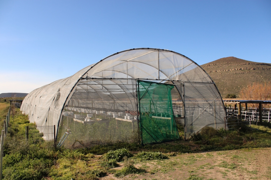 5 Bedroom Property for Sale in Fraserburg Rural Northern Cape